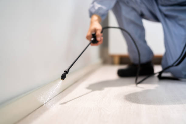 Certified termite inspector examining foundation in Altoona